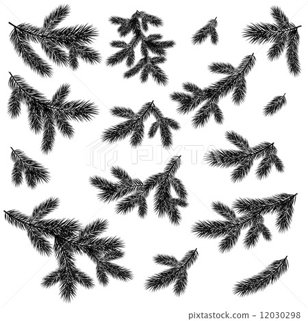 Christmas spruce tree branches black silhouettes 12030298