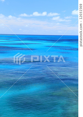 Coral reef in Hateruma Island Coral reef in Hateruma Island 12031569