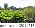 Shinobazu Pond 12031716