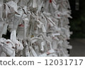 Omikuji 12031717