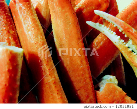 Crab dish (Boyle) 12031981