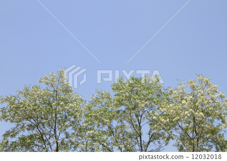 Harienge Harienge 12032018