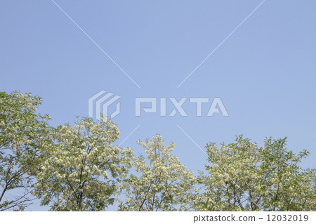 Harienge Harienge 12032019