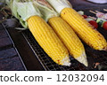 Corn 12032094
