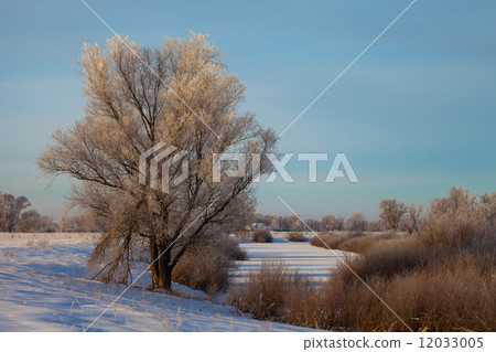 Winter landscape, dawn over the river Winter landscape, dawn over the river 12033005