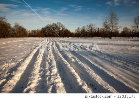 Winter landscape, trees covered in snow Winter landscape, trees covered in snow 12033175