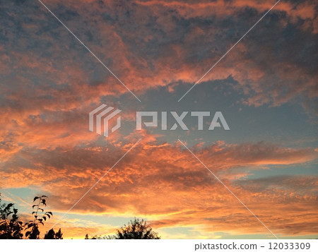 晨光 晨光 12033309