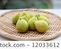 無花果 12033612