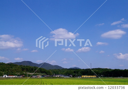 與黃色火車賽跑的一個風景 12033736