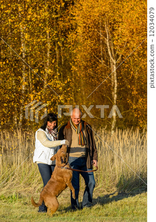 Couple playing with dog autumn sunset park Couple playing with dog autumn sunset park 12034079