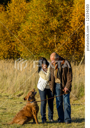 Couple training dog autumn sunset park Couple training dog autumn sunset park 12034080