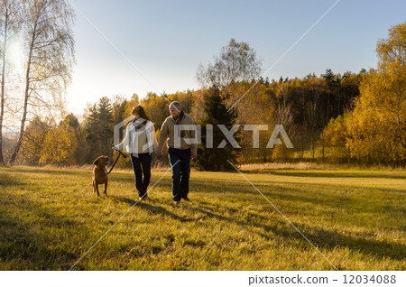 Couple walking dog autumn sunset landscape Couple walking dog autumn sunset landscape 12034088