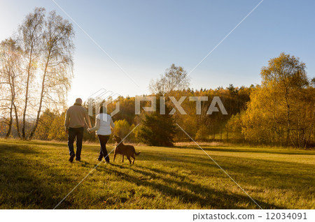 Couple walk dog autumn sunset countryside meadow Couple walk dog autumn sunset countryside meadow 12034091