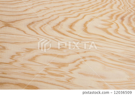 雪松木紋木頭 12036509