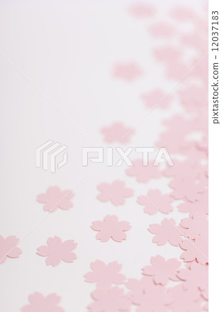 Sakura pattern background 12037183