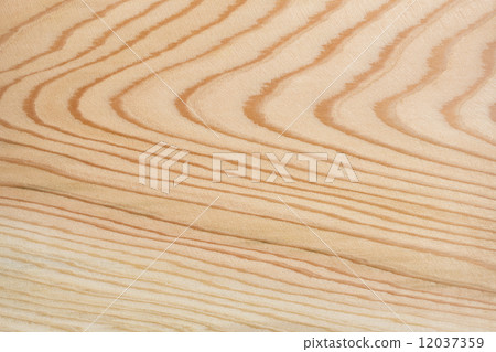 雪松木紋木頭 12037359