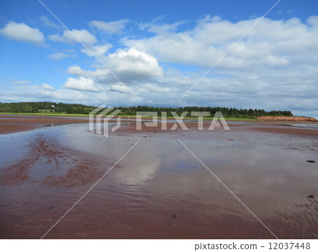 紅色海邊海灘 12037448