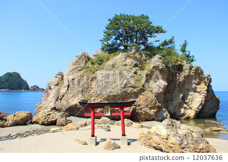 Shiraiwa Ogami 12037636