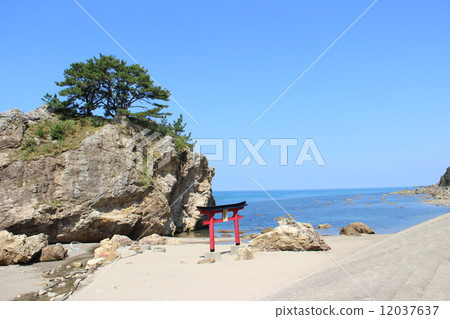 Shiraiwa Ogami 12037637