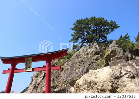 Shiraiwa Ogami 12037638