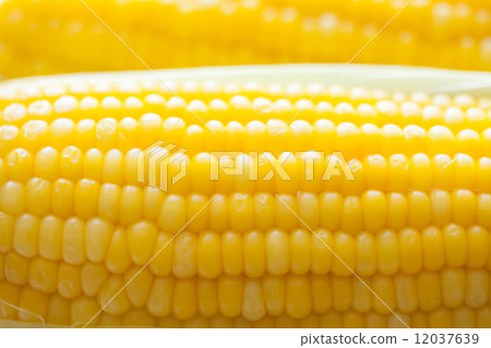 Up of boiled corn 12037639