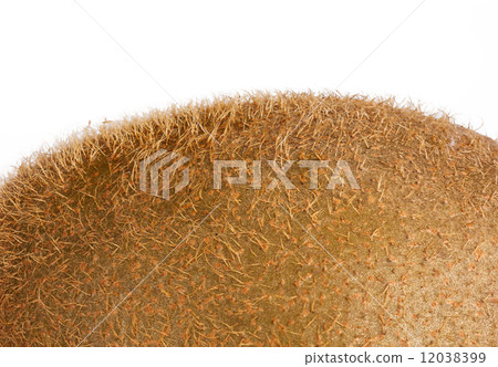 Close up of Kiwi fruit peel 12038399