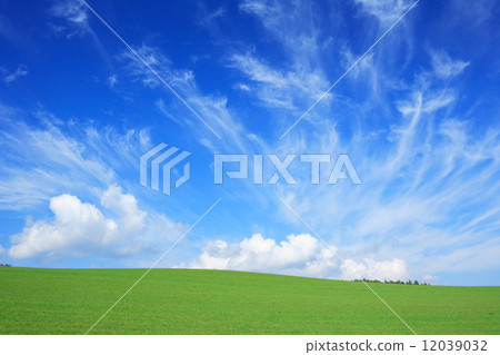 Kamifurano-cho, Hokkaido Prairie and clouds 12039032