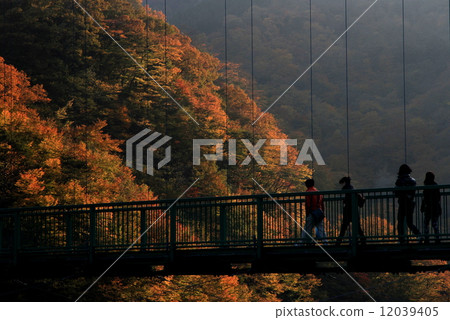 Autumn leaves of the Momiji Valley Big Suspension Bridge 12039405