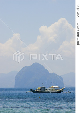 Tourist Boat 12040170