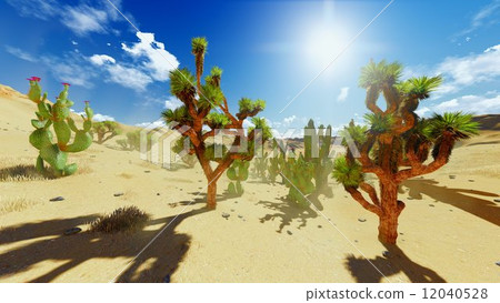 Joshua trees Joshua trees 12040528