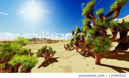 Joshua trees Joshua trees 12040532