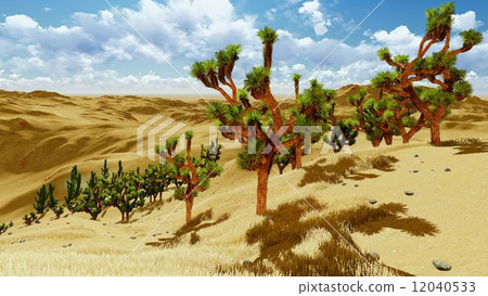Joshua trees Joshua trees 12040533