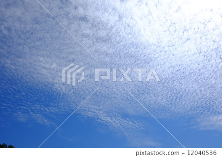 風雲 風雲 12040536