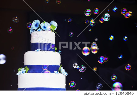Wedding Cake 12040840