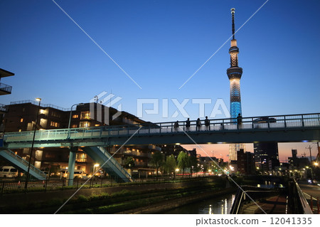 天空樹晚上風景 12041335