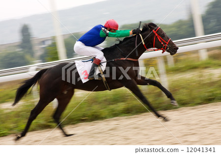 Horse racing Horse racing 12041341