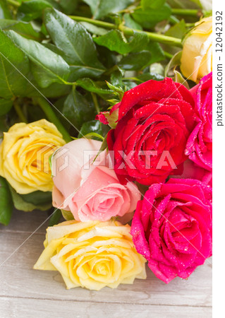 yellow and pink  roses  on table 12042192
