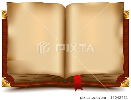 Old open book 12042481