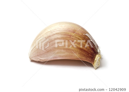 clove of garlic clove of garlic 12042909