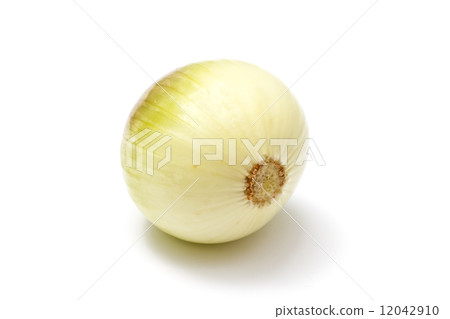 Onion Onion 12042910