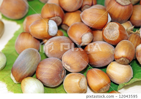 Hazelnuts close-up as background Hazelnuts close-up as background 12043595