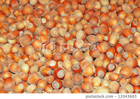 Hazelnuts close-up as background 12043683