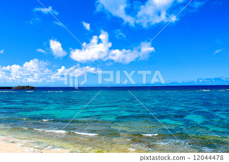 海洋海 海洋海 12044478