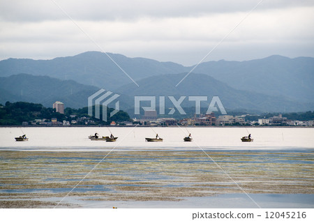 Scenery of freshwater clam fishing on the surface of Lake Shinji Scenery of freshwater clam fishing on the surface of Lake Shinji 12045216