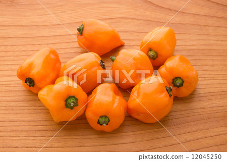 habañero pepper 12045250
