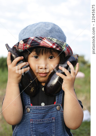 Girls harvesting eggplants 12045675