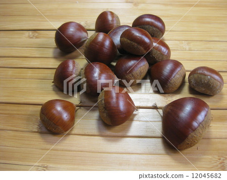 Chestnut Chestnut 12045682