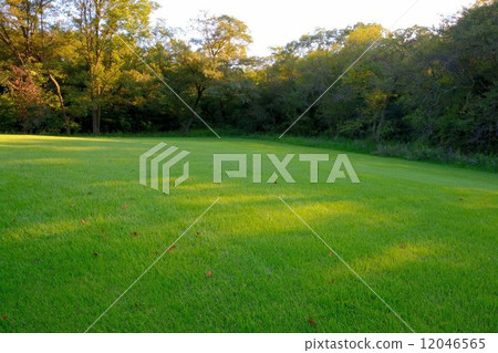 草坪廣場 12046565