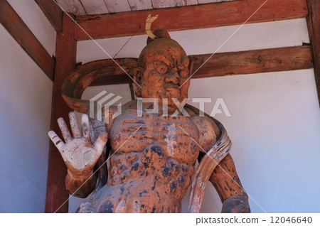 金剛國王的雕像 12046640