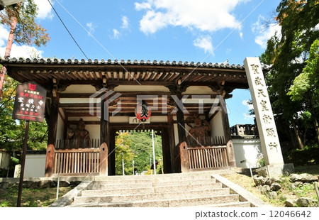 金剛國王的雕像 12046642